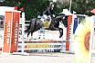 Sonntag Springreiter WB