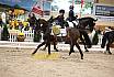 Samstag Reiterwettbewerb