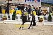 Samstag Reiterwettbewerb