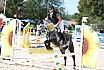 Sonntag Springreiter WB