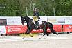 Sonntag Dressurreiter A 