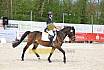 Sonntag Dressurreiter A 