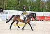 Sonntag Dressurreiter A 