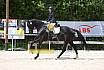 Freitag Dressurpferde A 