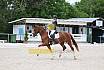 Freitag Dressurpferde A 