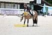Freitag Dressurpferde A 