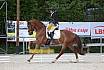 Freitag Dressurpferde A 