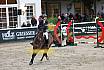 Fr Amateure Silber Gold