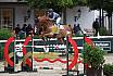 Fr Amateure Silber Gold
