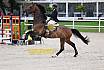 Sa Amateure Bronze