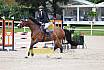 Sa Amateure Bronze