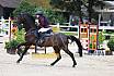 Sa Amateure Bronze