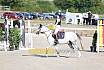 Sonntag Springreiterwettbewerb