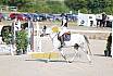Sonntag Springreiterwettbewerb