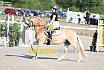 Sonntag Springreiterwettbewerb
