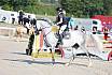 Sonntag Springreiterwettbewerb