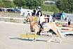 Sonntag Springreiterwettbewerb