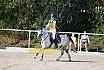 Sonntag Springreiterwettbewerb