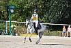 Sonntag Springreiterwettbewerb