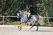 Sonntag Springreiterwettbewerb