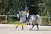 Sonntag Springreiterwettbewerb