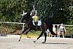 Sonntag Springreiterwettbewerb