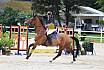 Sa Amateure Bronze