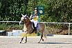 Sonntag Springreiterwettbewerb