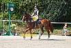 Sonntag Springreiterwettbewerb