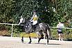 Sonntag Springreiterwettbewerb
