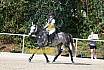 Sonntag Springreiterwettbewerb