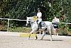 Sonntag Springreiterwettbewerb