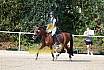 Sonntag Springreiterwettbewerb