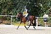 Sonntag Springreiterwettbewerb