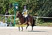 Sonntag Springreiterwettbewerb