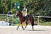 Sonntag Springreiterwettbewerb