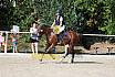 Sonntag Springreiterwettbewerb