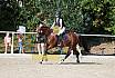 Sonntag Springreiterwettbewerb