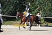 Sonntag Springreiterwettbewerb