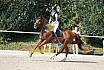 Sonntag Springreiterwettbewerb
