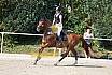 Sonntag Springreiterwettbewerb