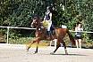 Sonntag Springreiterwettbewerb