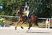 Sonntag Springreiterwettbewerb