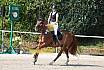 Sonntag Springreiterwettbewerb