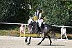 Sonntag Springreiterwettbewerb