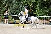 Sonntag Springreiterwettbewerb