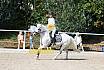 Sonntag Springreiterwettbewerb