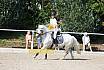 Sonntag Springreiterwettbewerb