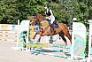 Sonntag Springreiterwettbewerb