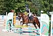 Sonntag Springreiterwettbewerb
